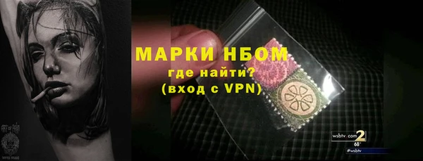 прущие грибы Алексеевка