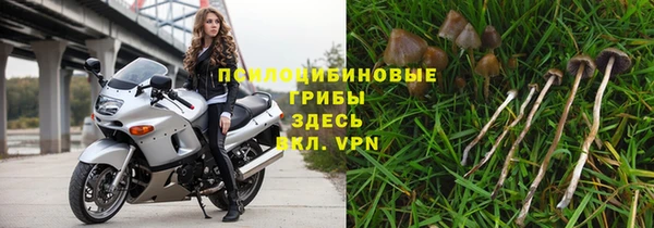 a pvp Алексин