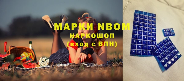 прущие грибы Алексеевка