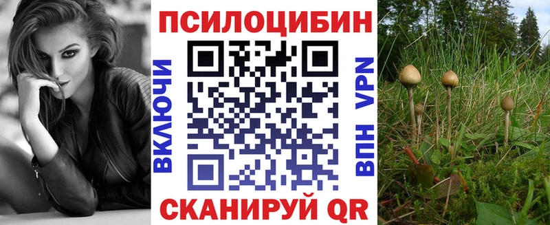 где найти   Сенгилей  Псилоцибиновые грибы мухоморы 